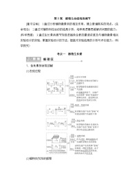 2024届人教版高中生物一轮复习植物生命活动的调节学案（多项版）