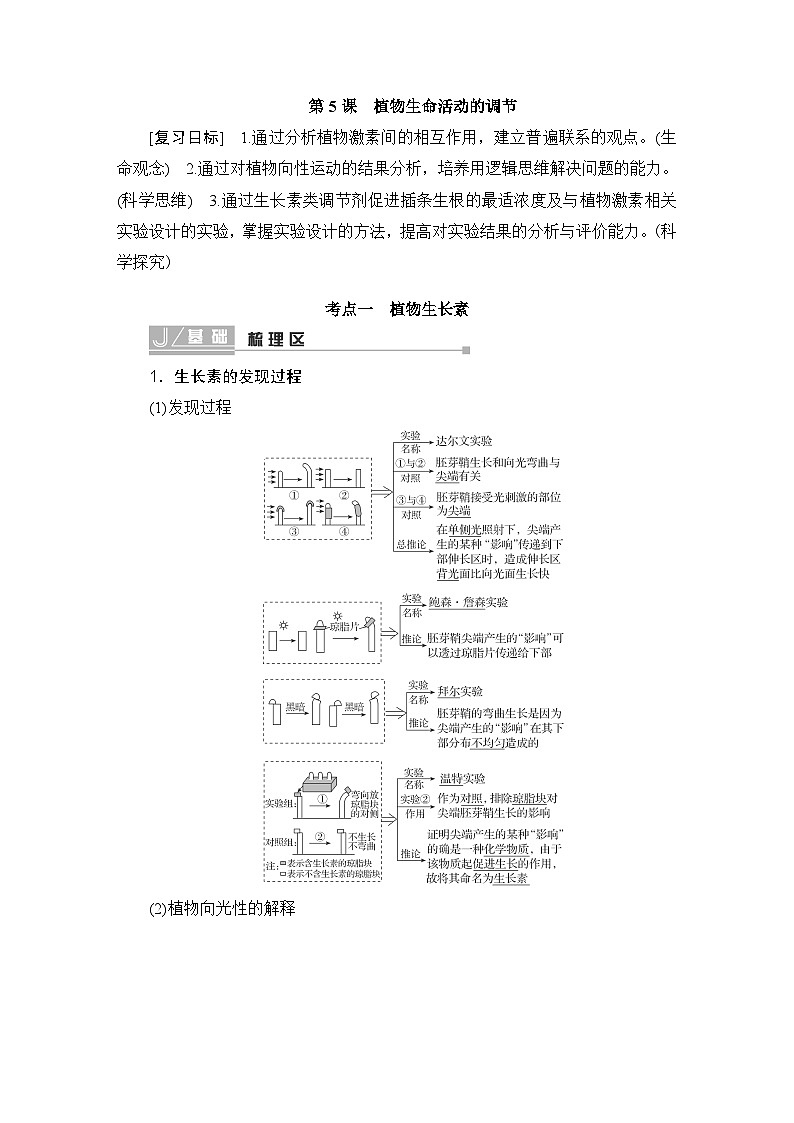 2024届人教版高中生物一轮复习植物生命活动的调节学案（多项版）01
