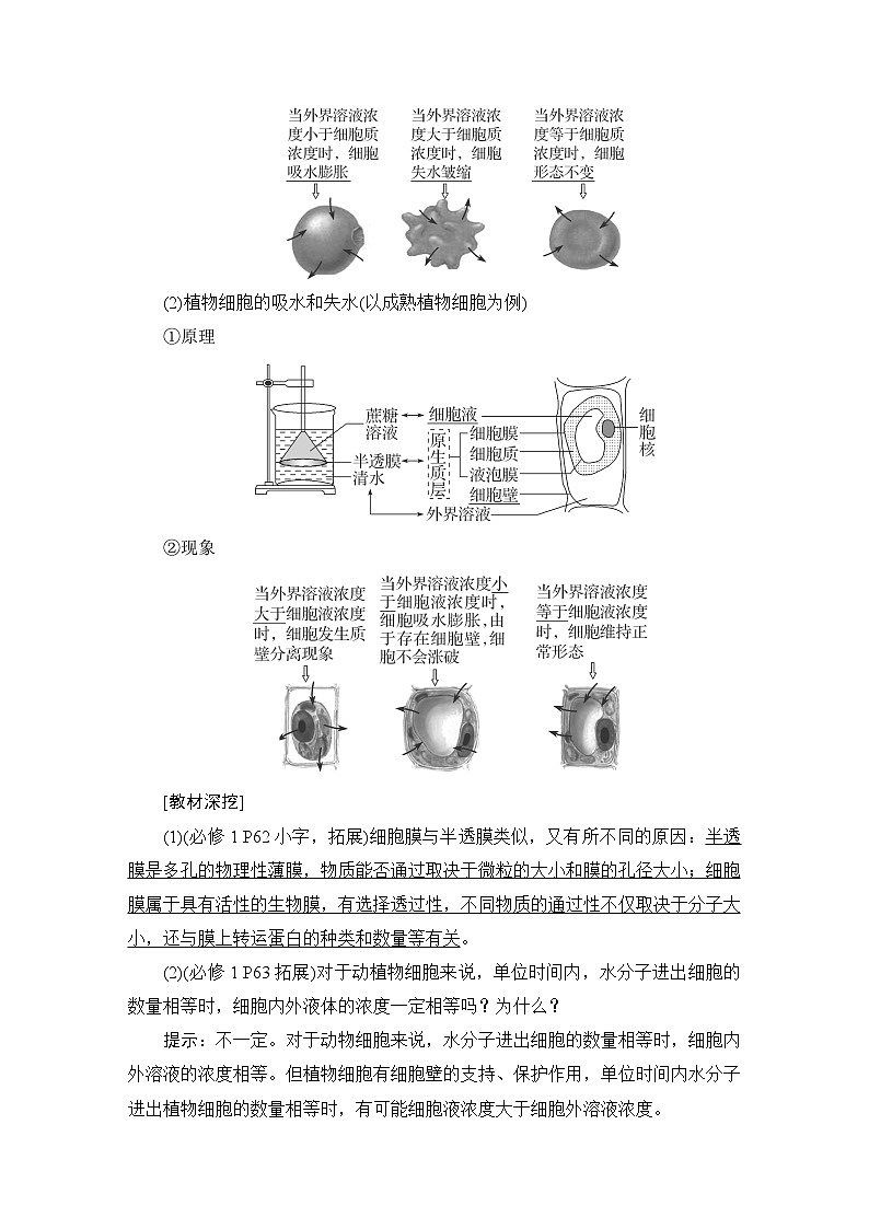 2024届人教版高中生物一轮复习细胞的物质输入和输出学案（多项版）02