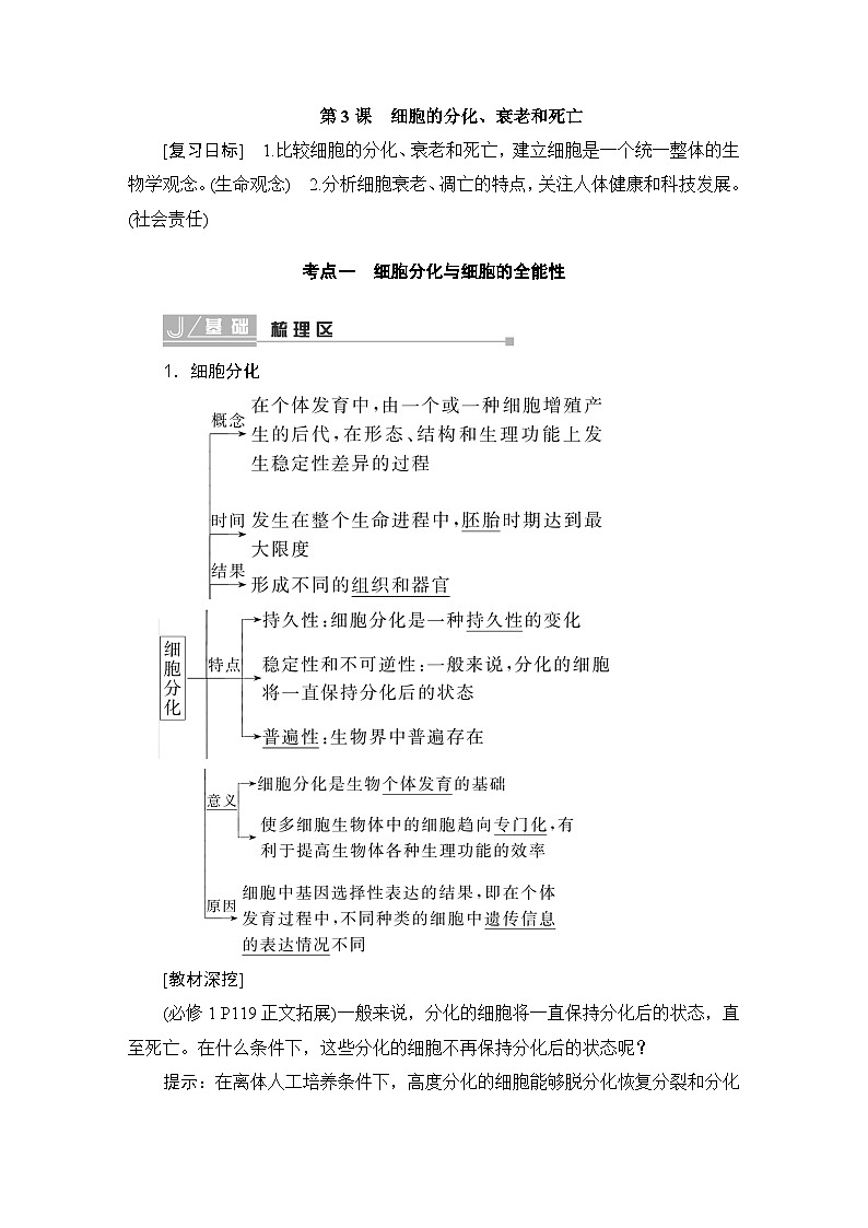 2024届人教版高中生物一轮复习细胞的分化、衰老和死亡学案（多项版）01