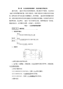 2024届人教版高中生物一轮复习生态系统的物质循环、信息传递及其稳定性学案（多项版）