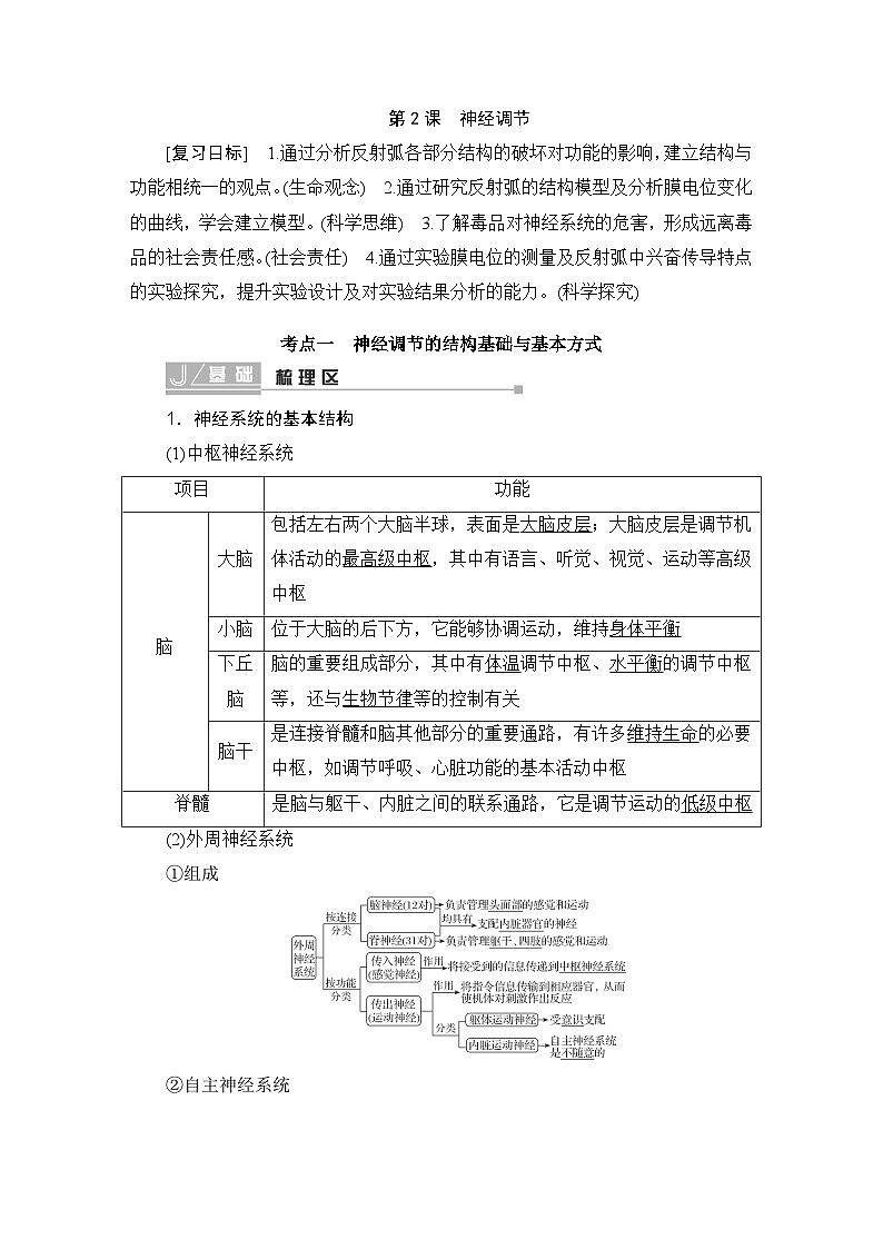 2024届人教版高中生物一轮复习神经调节学案（多项版）第1页