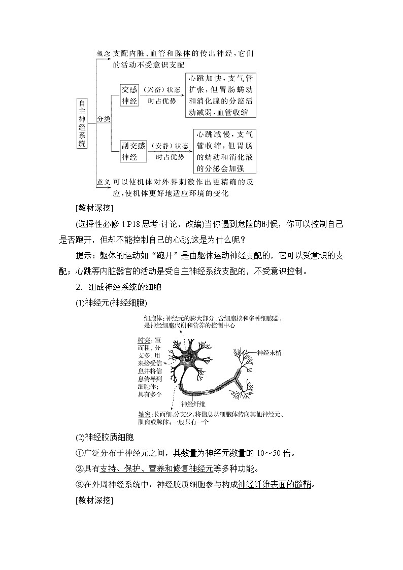 2024届人教版高中生物一轮复习神经调节学案（多项版）第2页