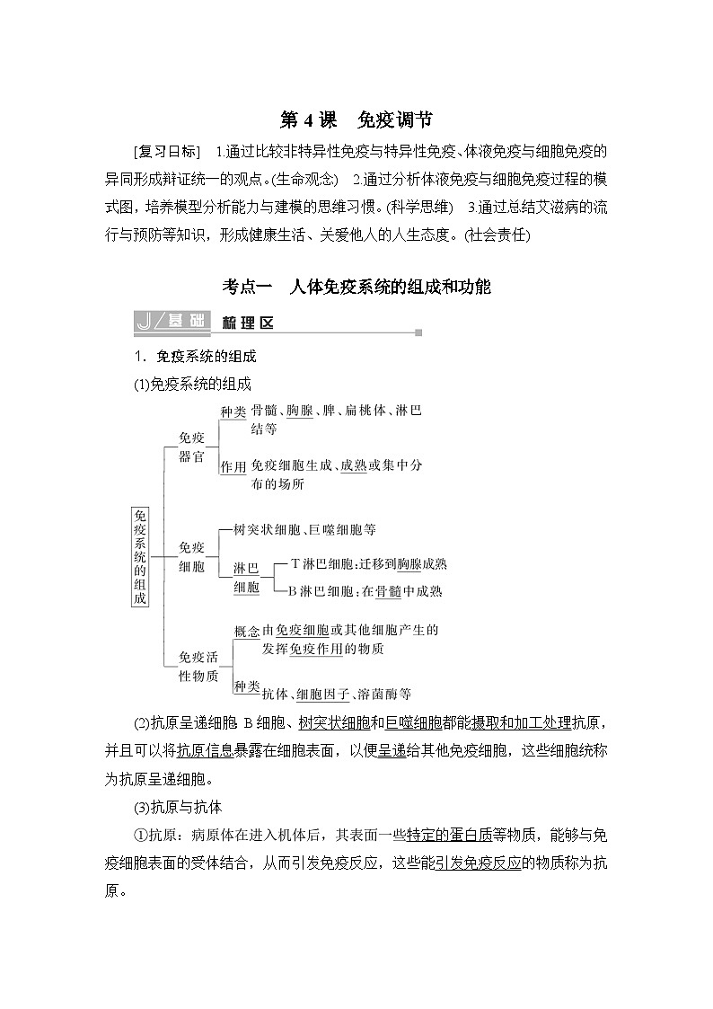 2024届人教版高中生物一轮复习免疫调节学案（多项版）01