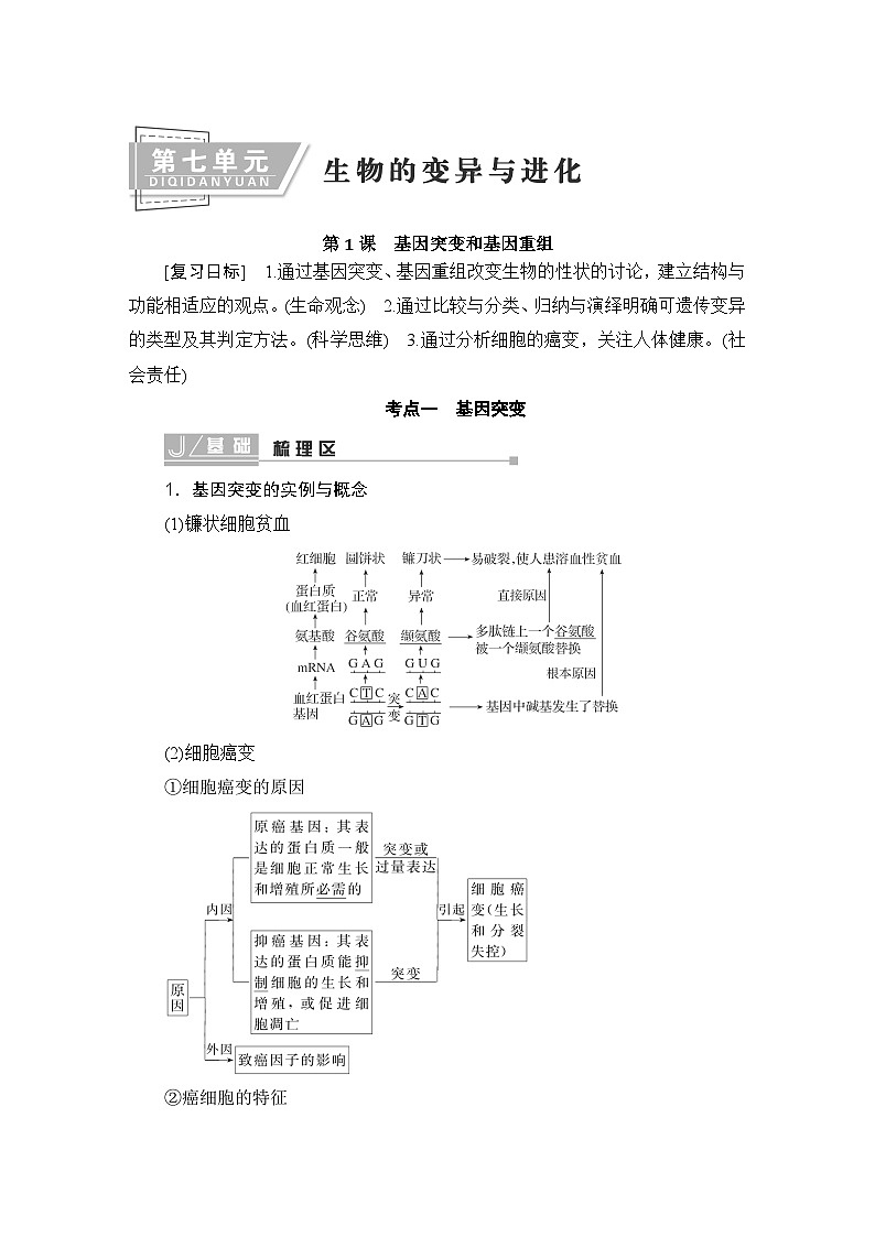 2024届人教版高中生物一轮复习基因突变和基因重组学案（多项版）第1页