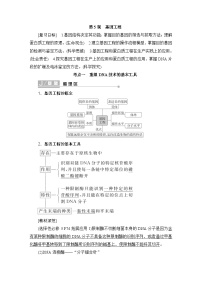 2024届人教版高中生物一轮复习基因工程学案（多项版）