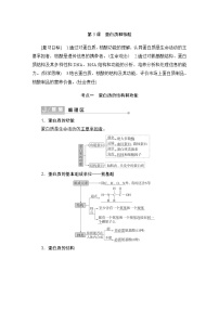 2024届人教版高中生物一轮复习蛋白质和核酸学案（多项版）