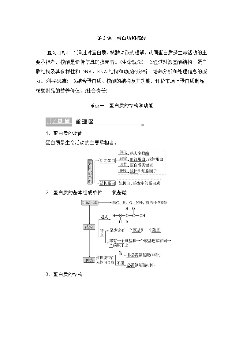 2024届人教版高中生物一轮复习蛋白质和核酸学案（多项版）第1页