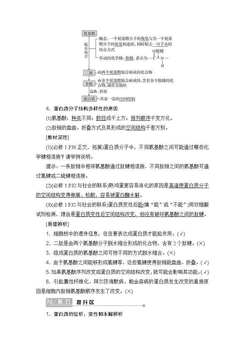 2024届人教版高中生物一轮复习蛋白质和核酸学案（多项版）第2页