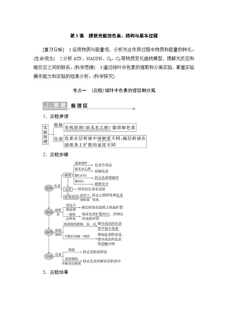 2024届人教版高中生物一轮复习捕获光能的色素、结构与基本过程学案（多项版）第1页