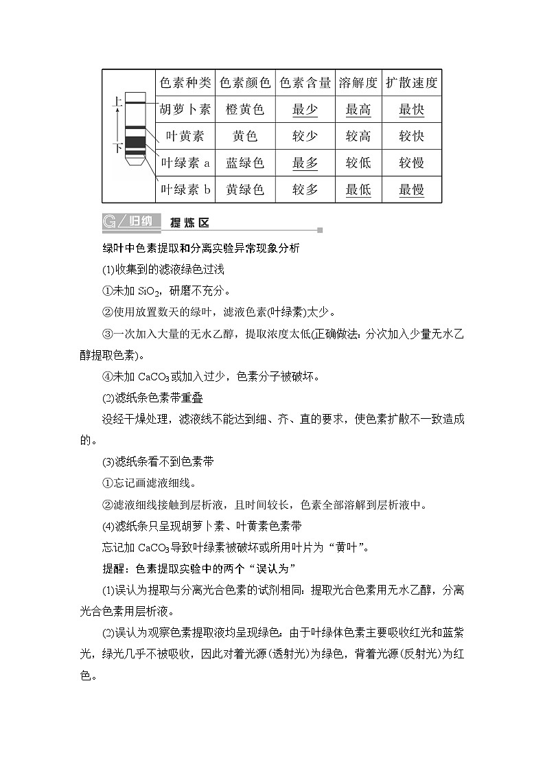 2024届人教版高中生物一轮复习捕获光能的色素、结构与基本过程学案（多项版）第2页