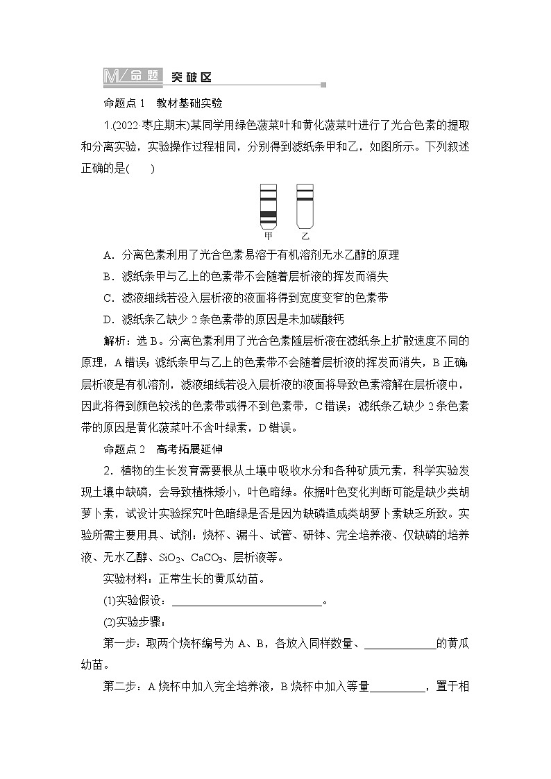 2024届人教版高中生物一轮复习捕获光能的色素、结构与基本过程学案（多项版）第3页