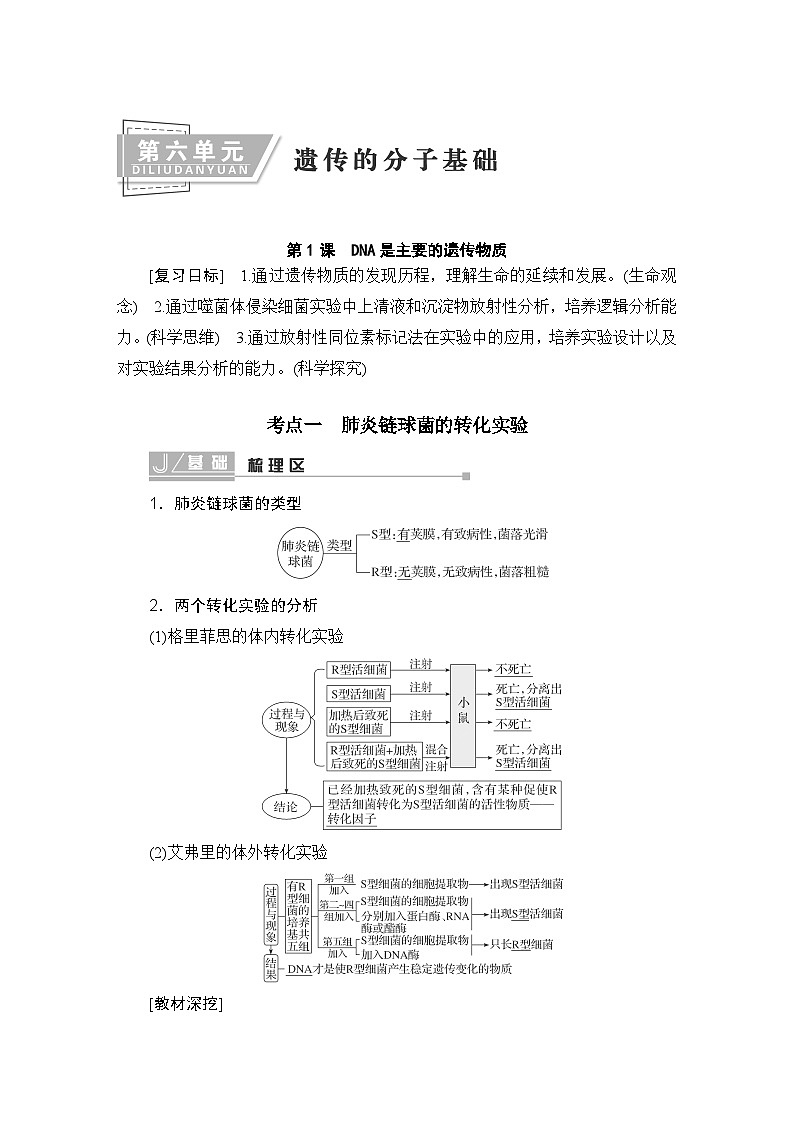 2024届人教版高中生物一轮复习DNA是主要的遗传物质学案（多项版）第1页