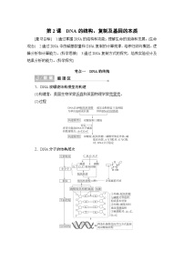 2024届人教版高中生物一轮复习DNA的结构、复制及基因的本质学案（多项版）