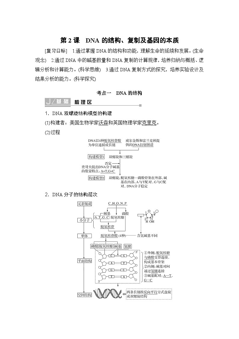 2024届人教版高中生物一轮复习DNA的结构、复制及基因的本质学案（多项版）第1页