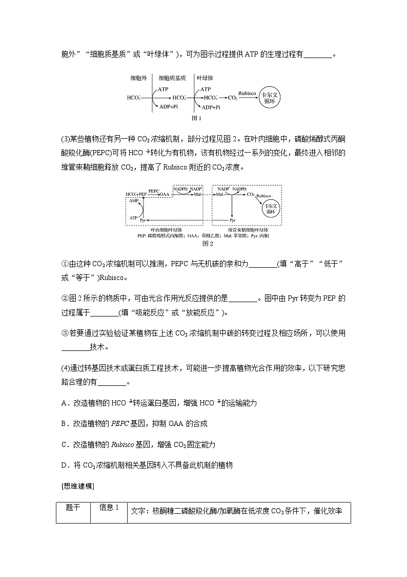 2024届人教版高中生物一轮复习热点聚焦素养提升CO2固定途径的多样性和适应性学案（不定项）03