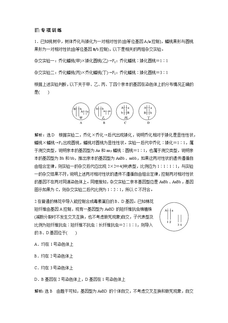 2024届人教版高中生物一轮复习热点聚焦素养提升判断控制不同性状的等位基因是否位于一对同源染色体上学案（不定项）第3页
