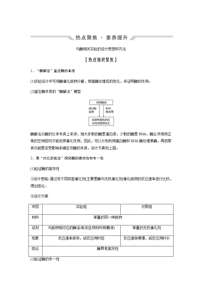 2024届人教版高中生物一轮复习热点聚焦素养提升酶相关实验设计学案（不定项）01