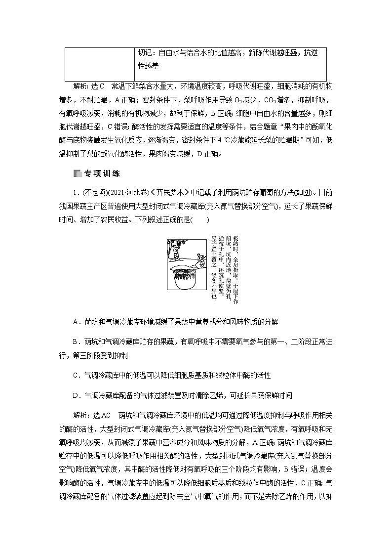 2024届人教版高中生物一轮复习热点聚焦素养提升细胞呼吸原理应用学案（不定项）第2页