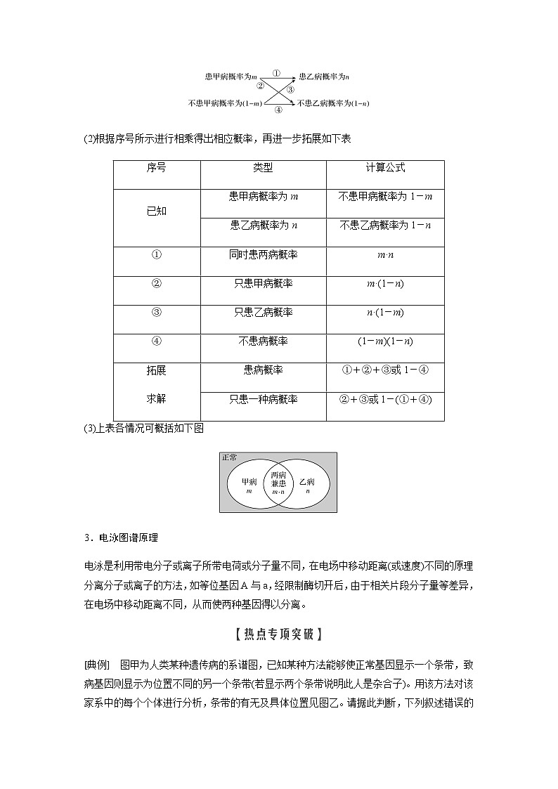 2024届人教版高中生物一轮复习素养提升遗传系谱图综合判断与概率计算学案（不定项）第2页