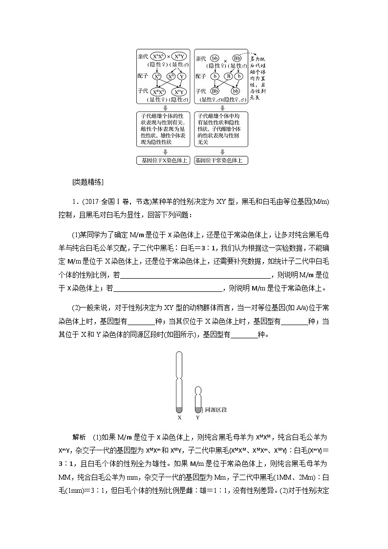 2024届人教版高中生物一轮复习素养提升基因定位实验学案（不定项）第2页