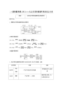 2024届人教版高中生物一轮复习素养提升光合作用与细胞呼吸作用综合应用学案（不定项）