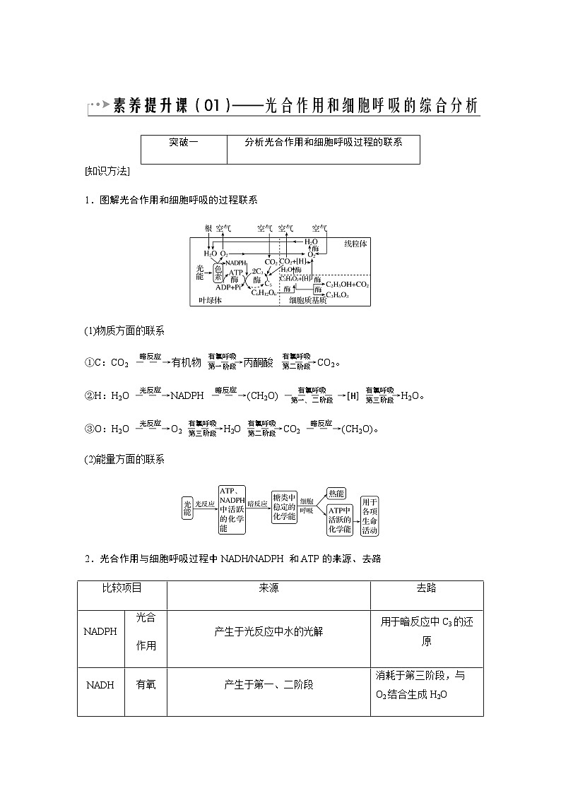 2024届人教版高中生物一轮复习素养提升光合作用与细胞呼吸作用综合应用学案（不定项）第1页