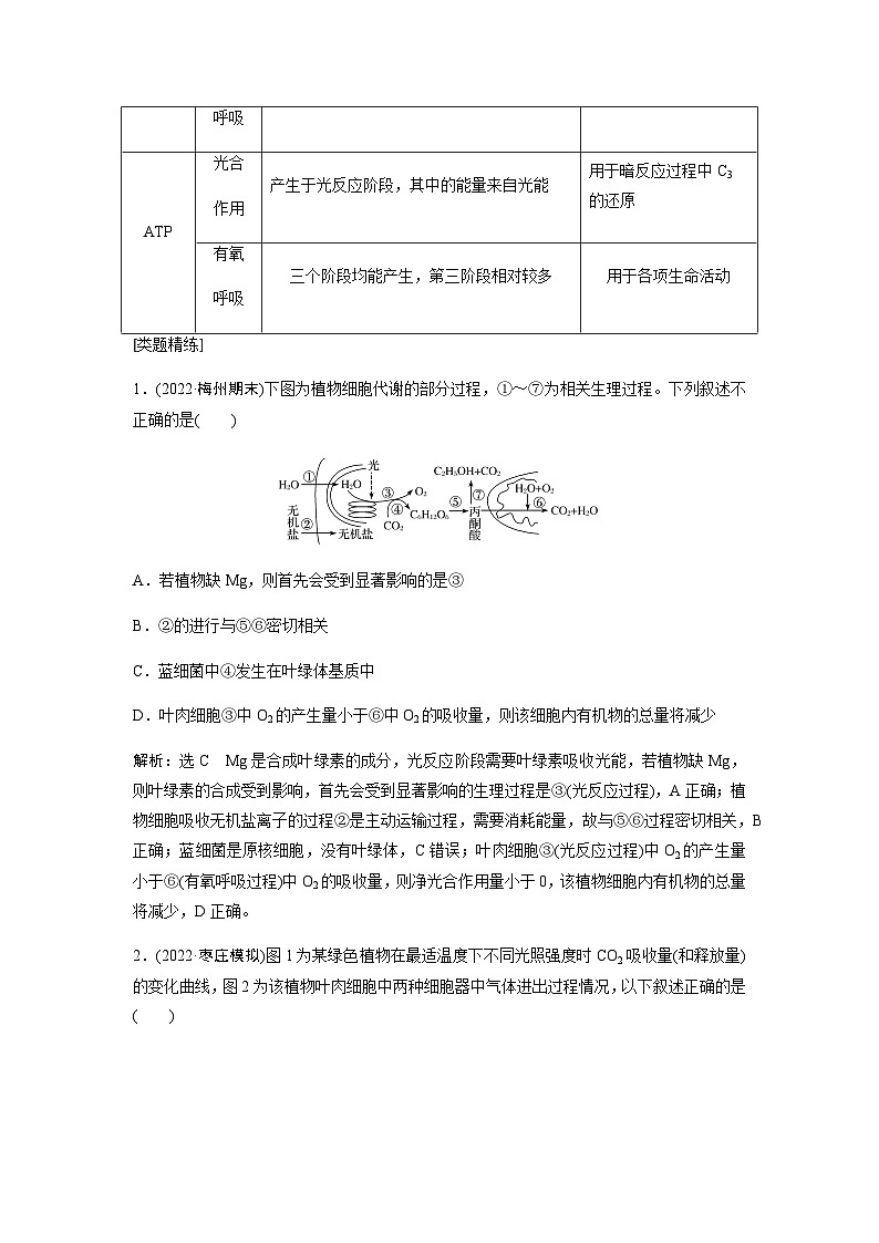 2024届人教版高中生物一轮复习素养提升光合作用与细胞呼吸作用综合应用学案（不定项）第2页