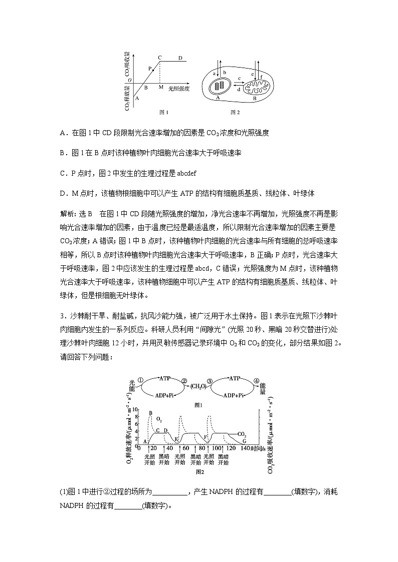 2024届人教版高中生物一轮复习素养提升光合作用与细胞呼吸作用综合应用学案（不定项）第3页