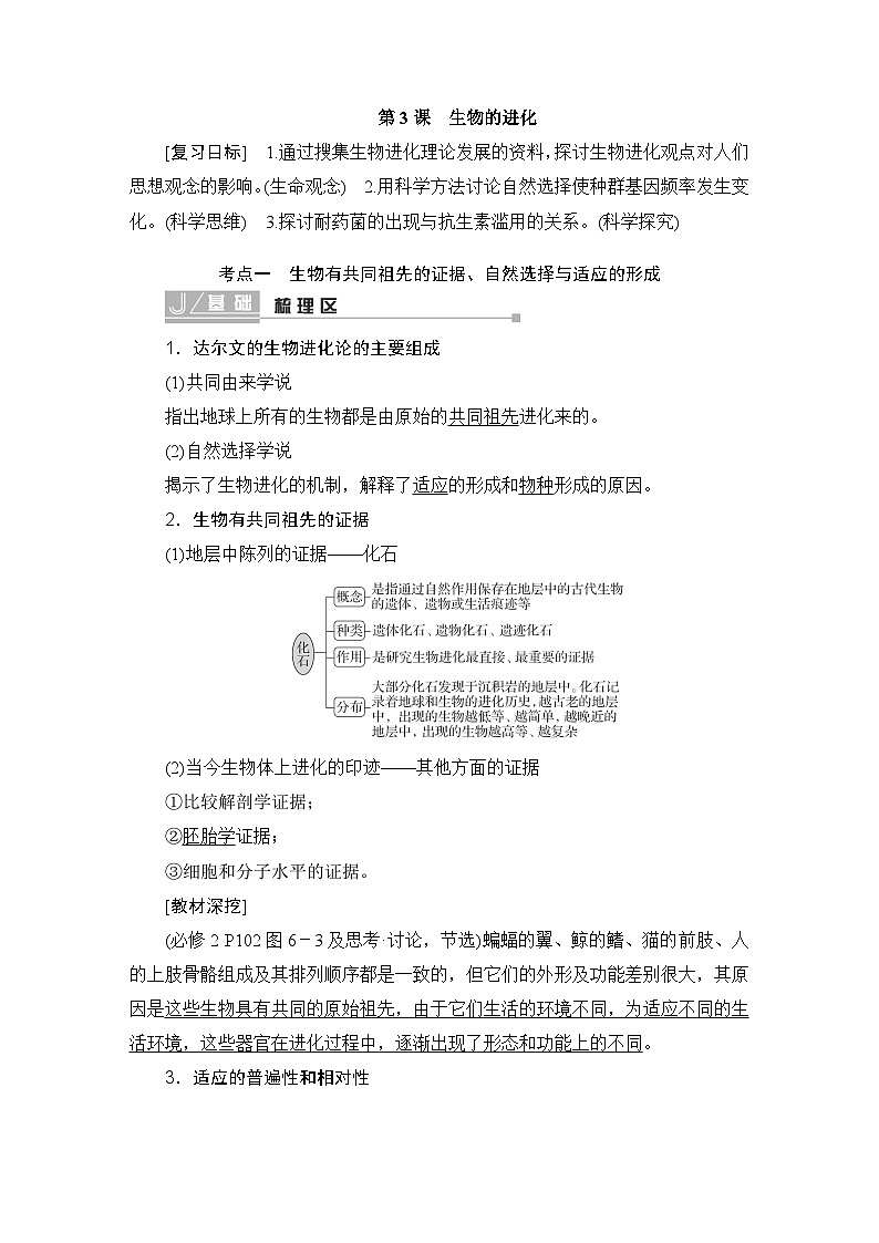 2024届人教版高中生物一轮复习生物的进化学案（多项版）第1页