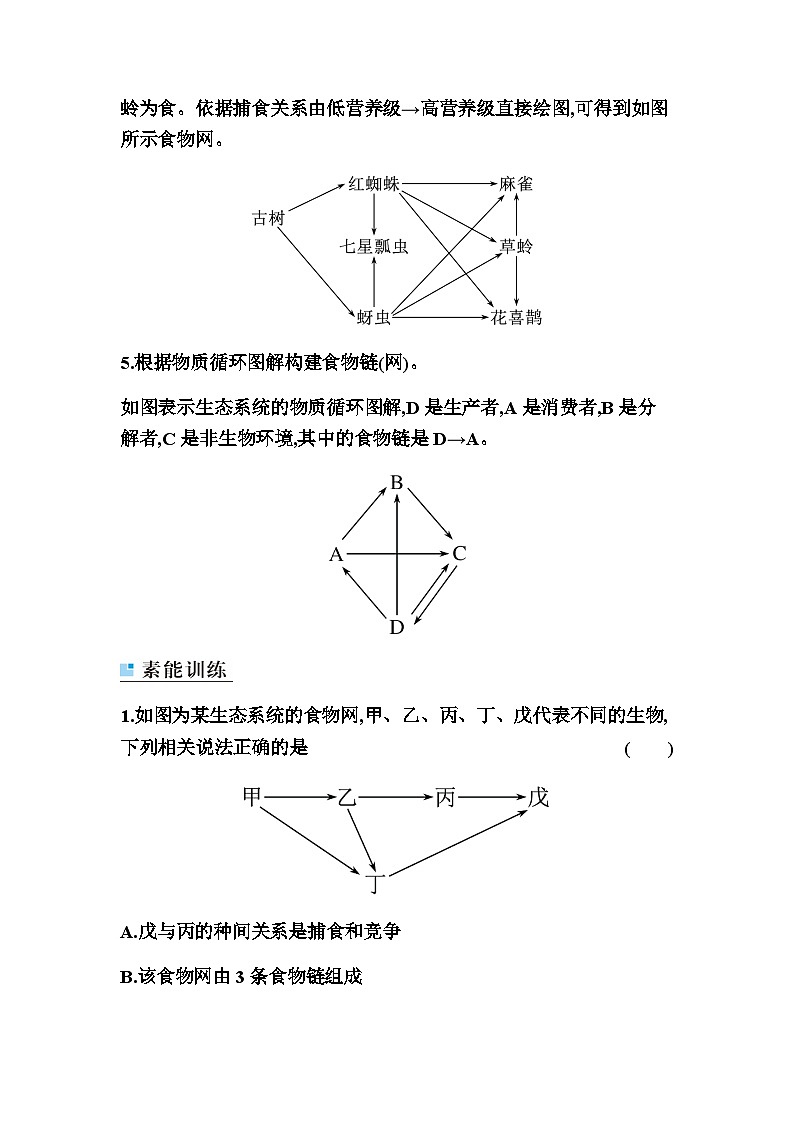2024届人教版高中生物一轮复习素养课食物链(网)的构建学案（不定项）第3页