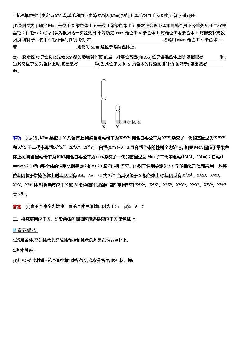 2024届人教版高中生物一轮复习素养课基因定位的遗传实验设计与分析学案（不定项）02