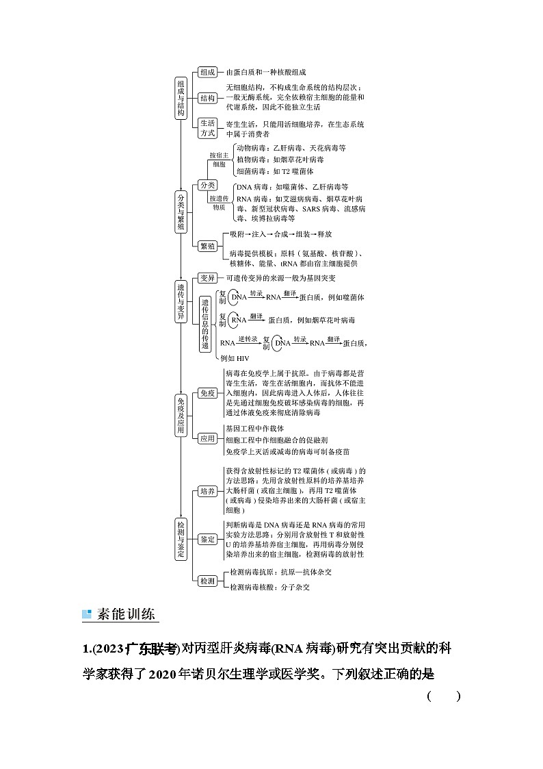 2024届人教版高中生物一轮复习素养课病毒全盘点学案（不定项）第2页