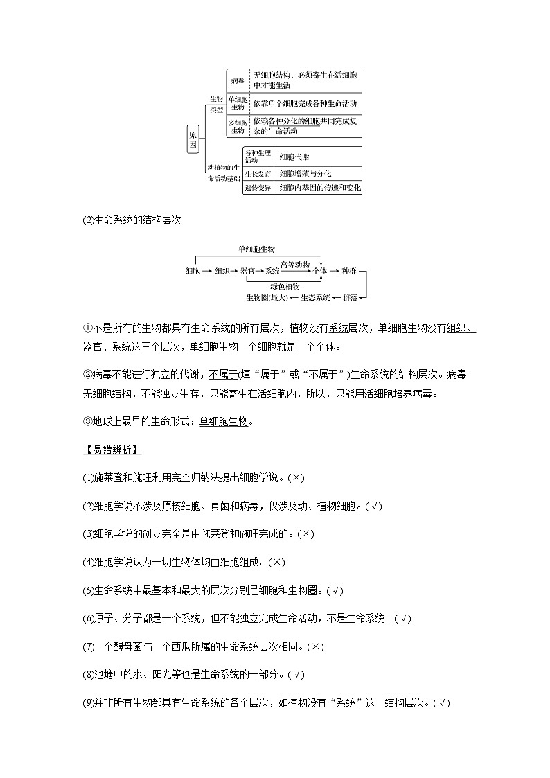 2024届人教版高中生物一轮复习走近细胞 学案 （不定项）第3页