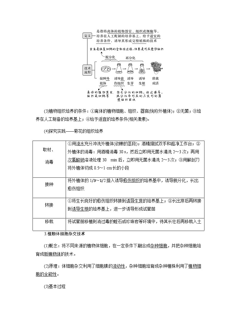2024届人教版高中生物一轮复习植物细胞工程学案（不定项）02