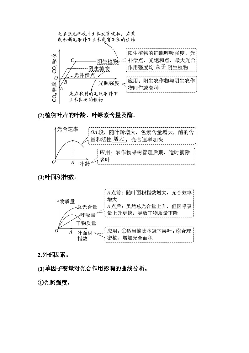 2024届人教版高中生物一轮复习影响光合作用的环境因素及其应用学案（不定项）02