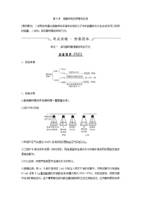 2024届人教版高中生物一轮复习细胞呼吸的原理和应用 学案 （不定项）