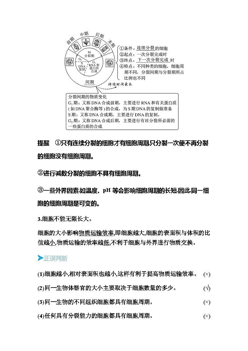 2024届人教版高中生物一轮复习细胞的增殖学案（不定项）第2页