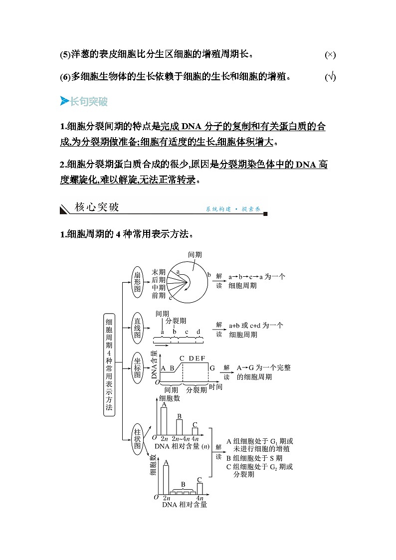 2024届人教版高中生物一轮复习细胞的增殖学案（不定项）第3页
