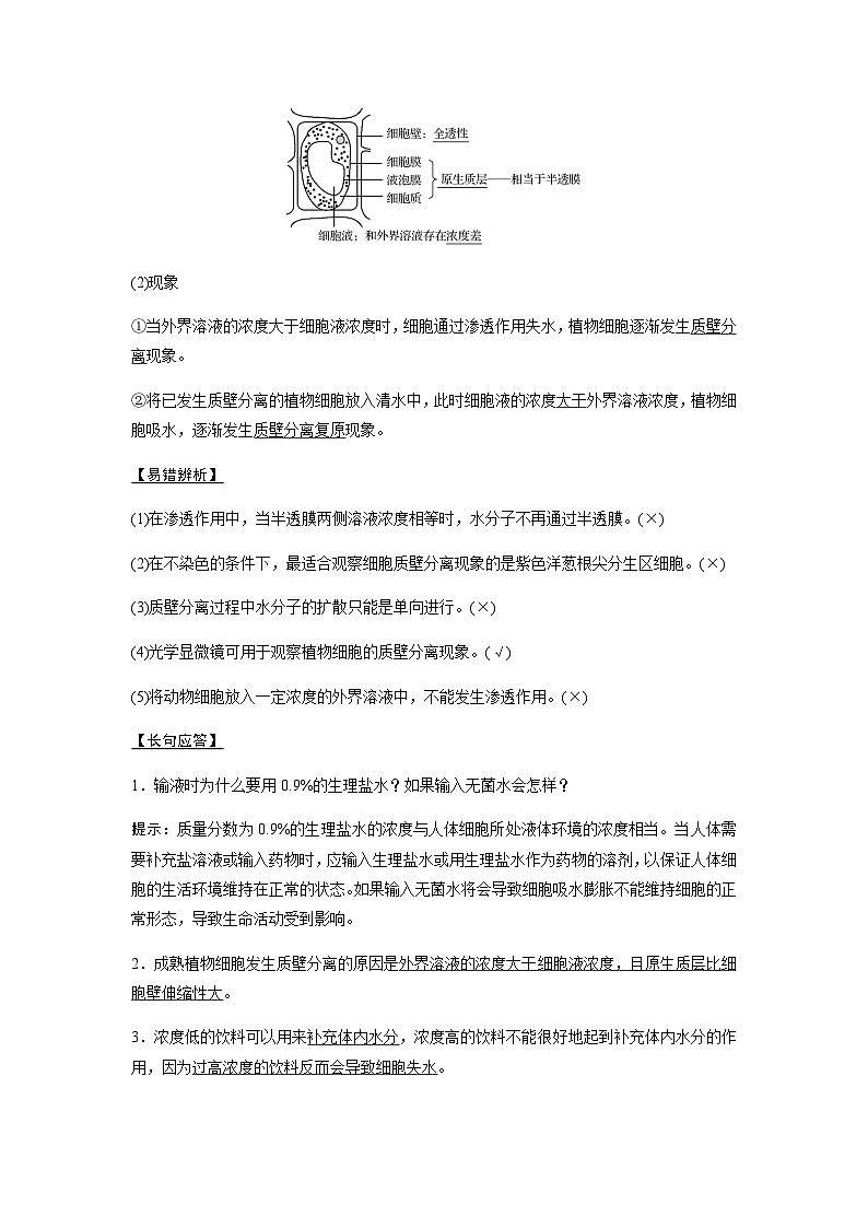2024届人教版高中生物一轮复习细胞的物质输入和输出 学案 （不定项）第2页
