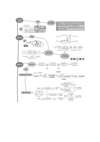 2024届人教版高中生物一轮复习人体的内环境与稳态学案（不定项）