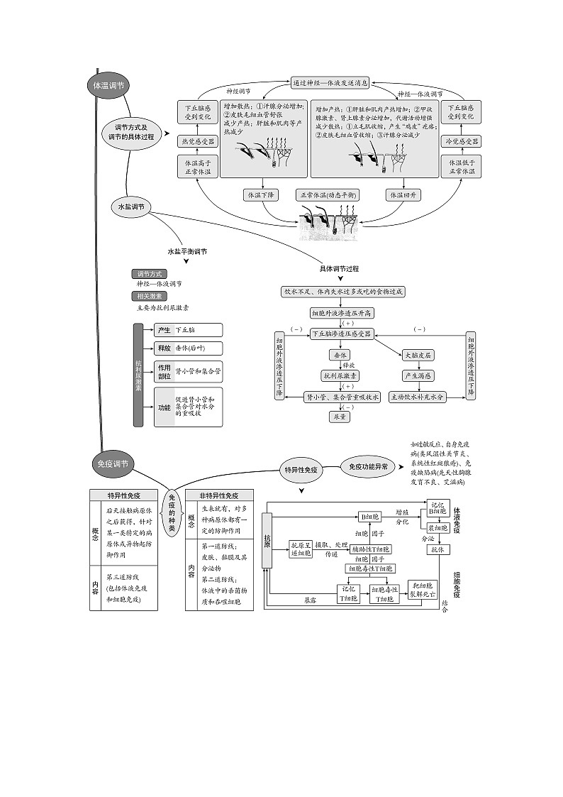 2024届人教版高中生物一轮复习人体的内环境与稳态学案（不定项）02