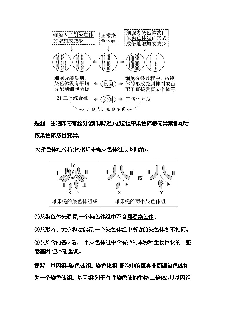 2024届人教版高中生物一轮复习染色体变异与生物育种学案（不定项）第2页
