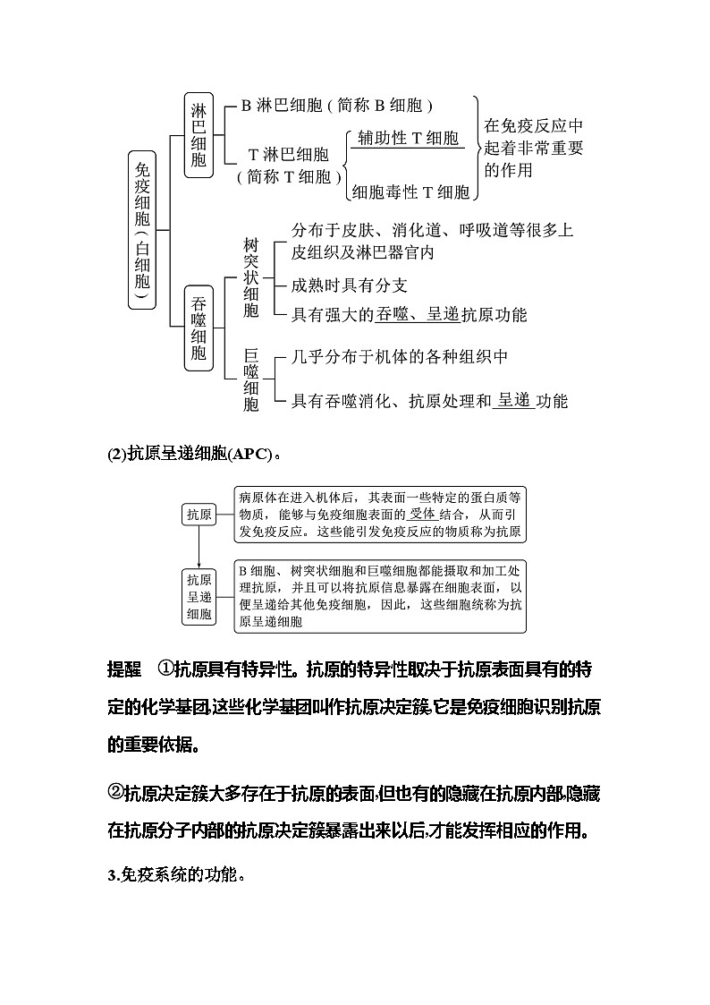 2024届人教版高中生物一轮复习免疫调节学案 （不定项）03