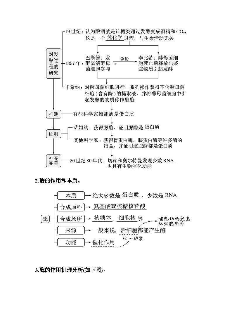 2024届人教版高中生物一轮复习酶与ATP学案（不定项）第2页