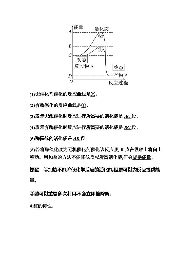 2024届人教版高中生物一轮复习酶与ATP学案（不定项）第3页
