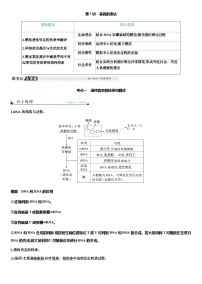 2024届人教版高中生物一轮复习基因的表达学案（不定项）