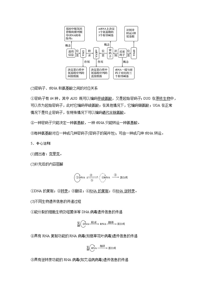 2024届人教版高中生物一轮复习基因的表达 学案 （不定项）第3页