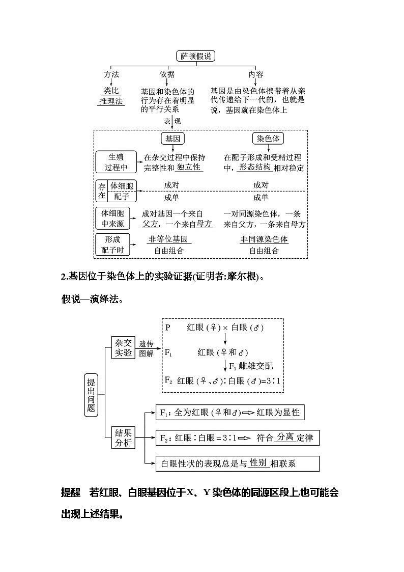 2024届人教版高中生物一轮复习伴性遗传和人类遗传病学案（不定项）02
