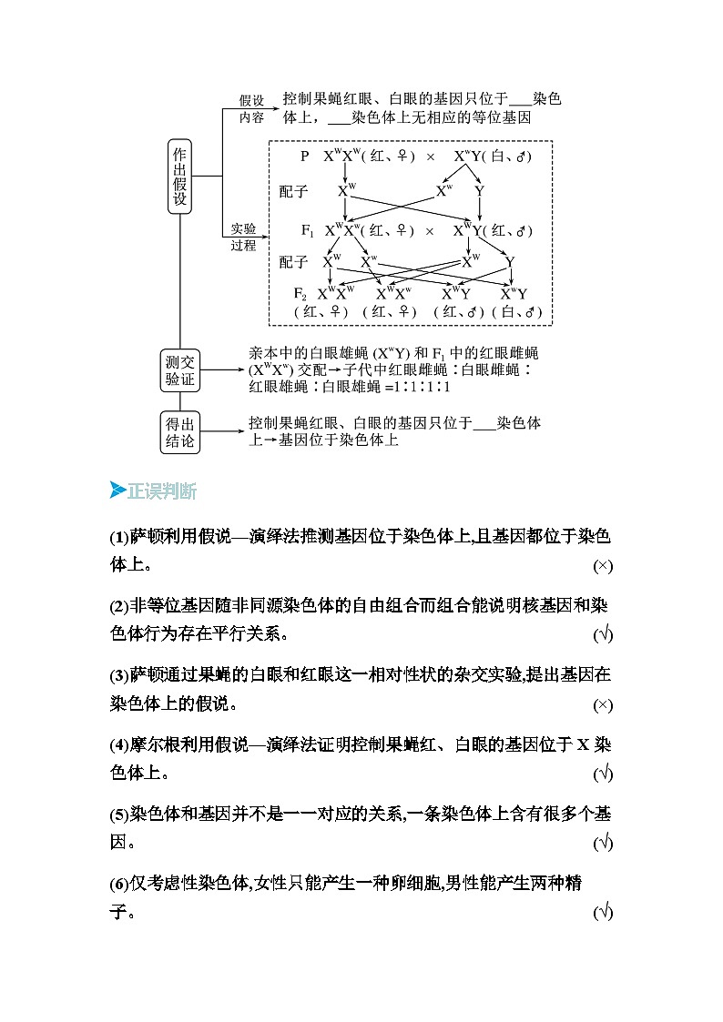 2024届人教版高中生物一轮复习伴性遗传和人类遗传病学案（不定项）03